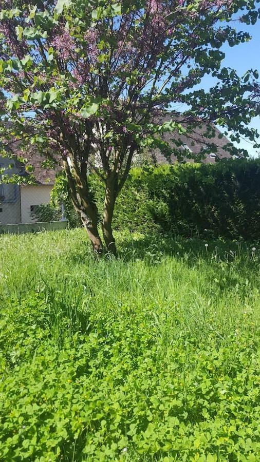 Maison De Campagne A 1H20 De Paris Villa Saint-Hilaire-les-Andresis Dış mekan fotoğraf